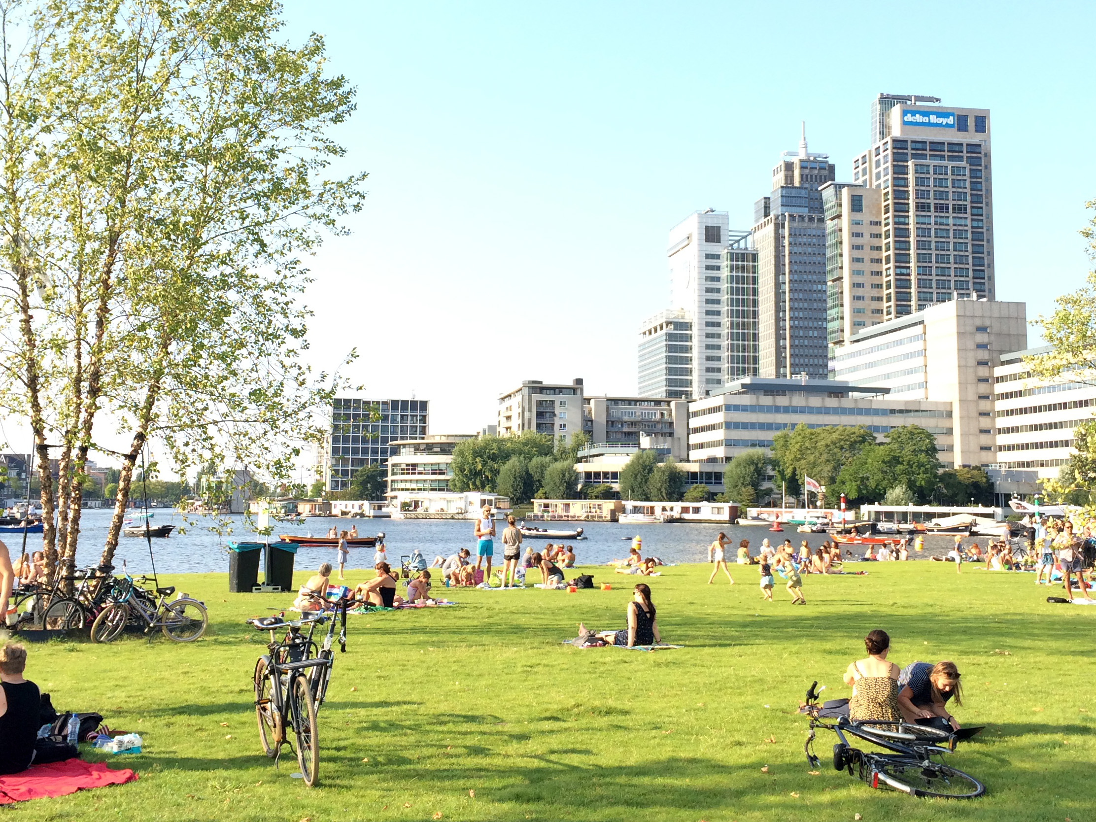 Small Business Growth Alters Amsterdam's Job and Talent Landscape