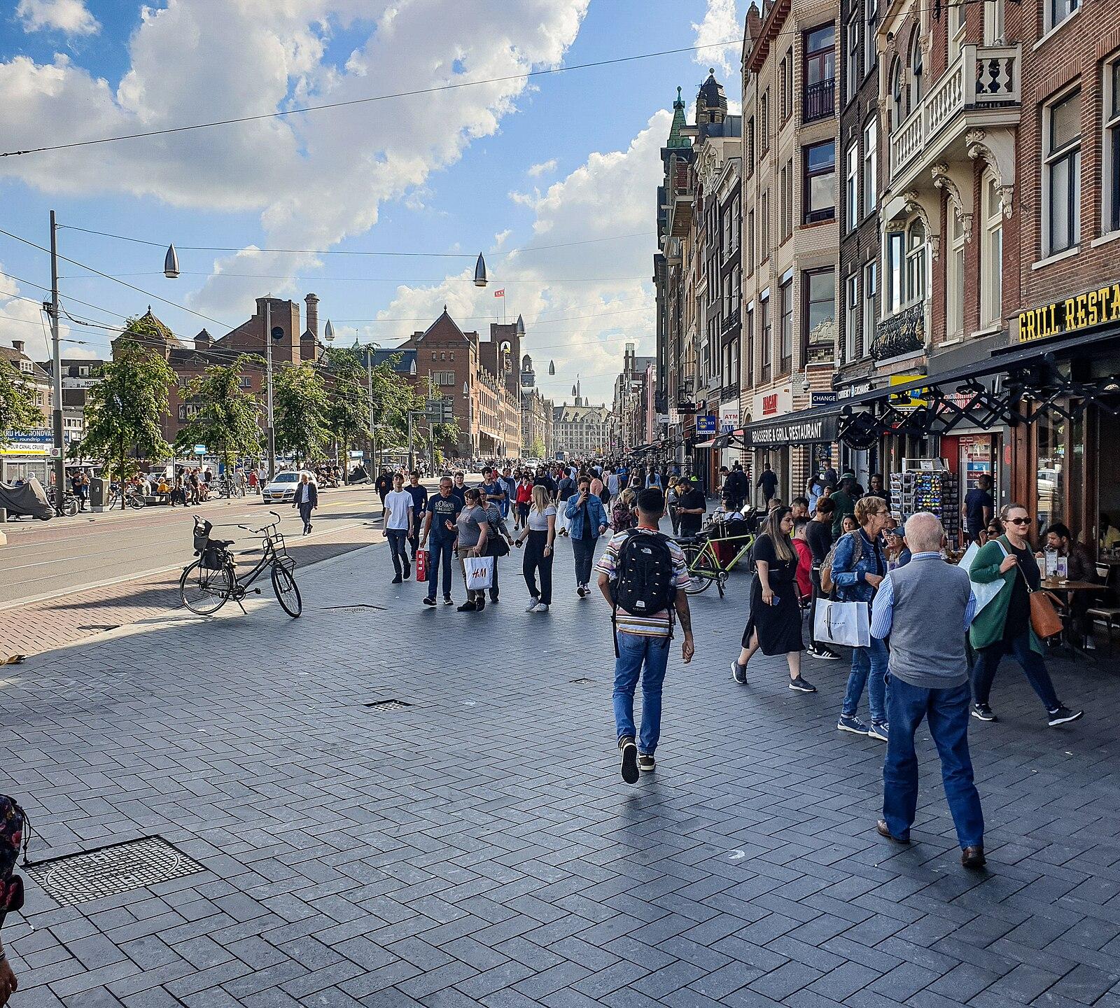 Amsterdam’s Economic Outlook: Insights from Officials and Experts