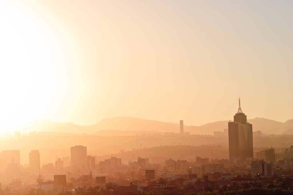 From Trade Hub to Cultural Catalyst: The History and Evolution of This Local Scene
