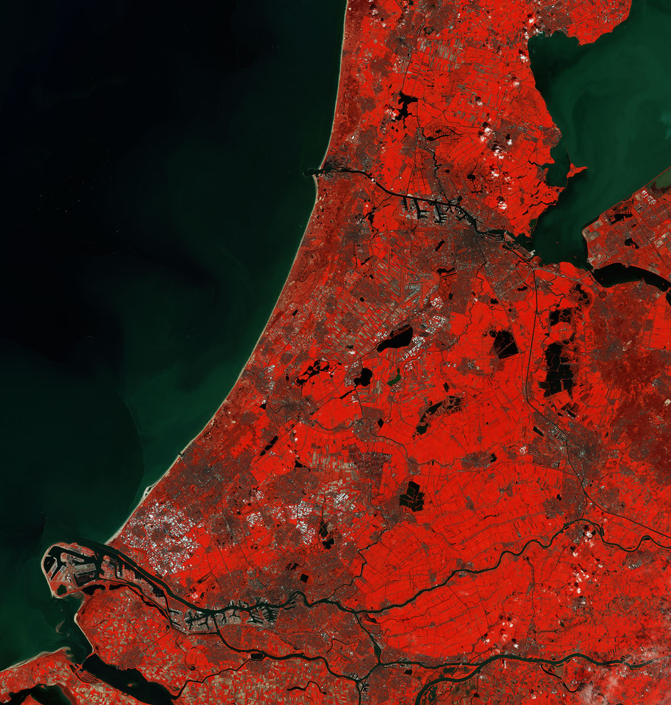 ML6 Machine Learning Roles: The Amsterdam Company Tech Professionals Should Track This Month