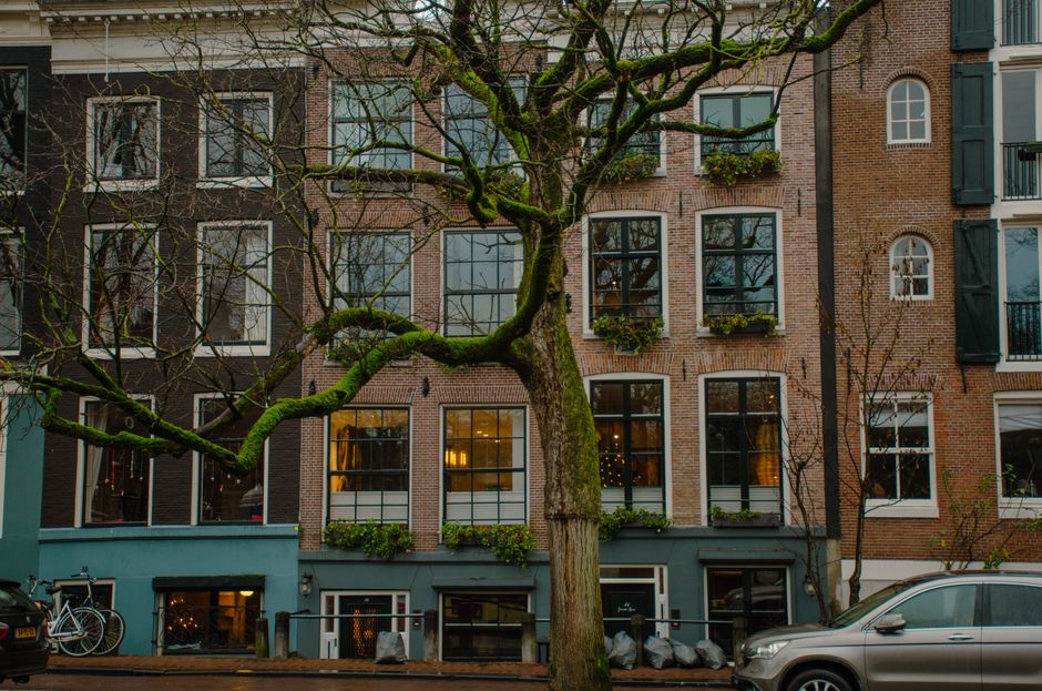 Amsterdam Bans Meat and Fossil Fuel Ads for Climate Goals
