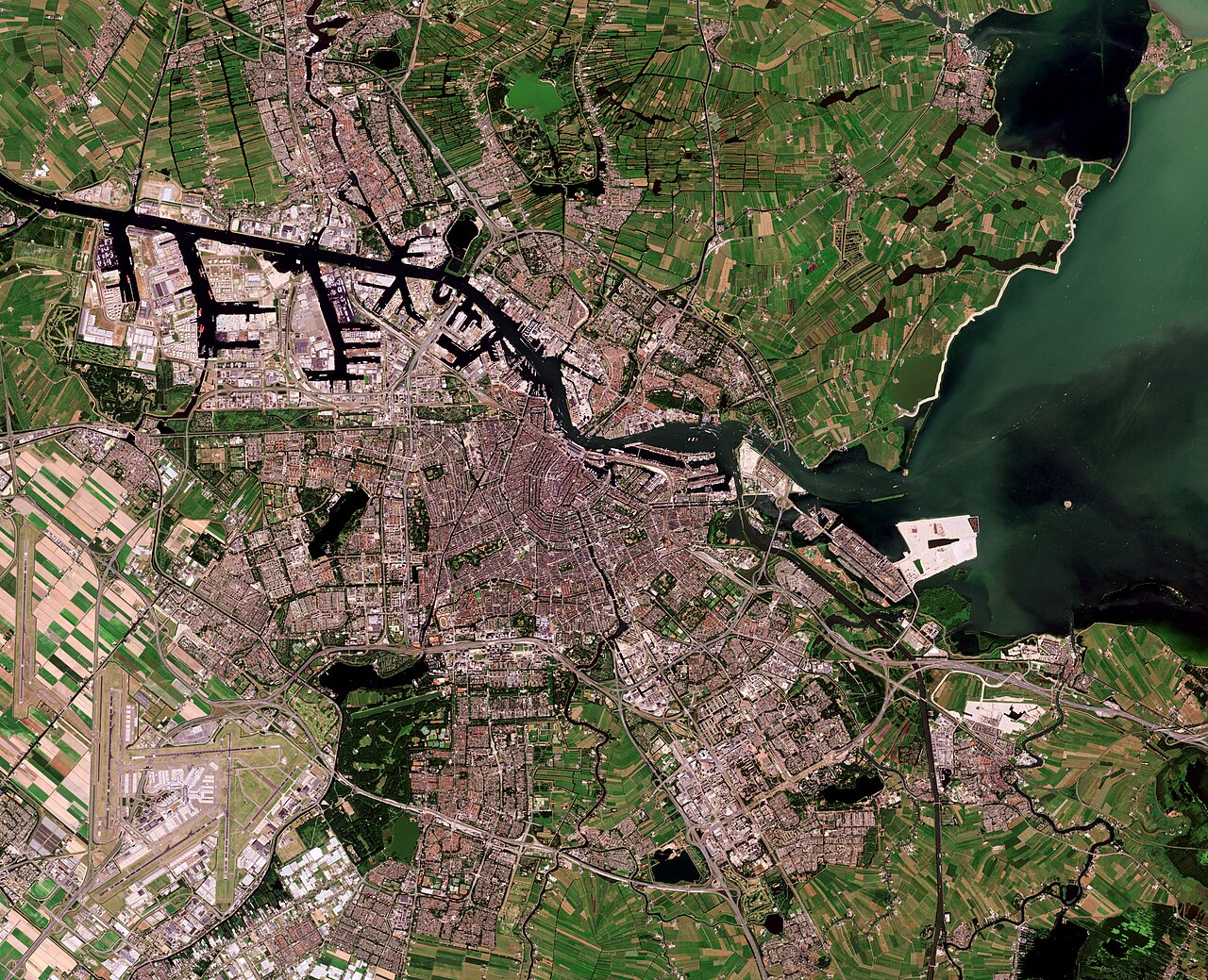Amsterdam's Fintech Boom: What Job Seekers and Workers Need to Know in 2026